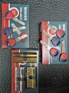 AMAESTRAMIENTO BOMBINES MAUER EN VITORIA GASTEIZ